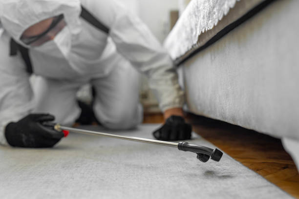 Professional Bed Bug Control technician working in Zebulon, NC