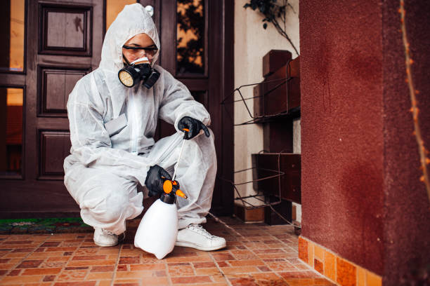 Reliable Bed Bug Control contractor in Zebulon, NC by Nex Pest Control